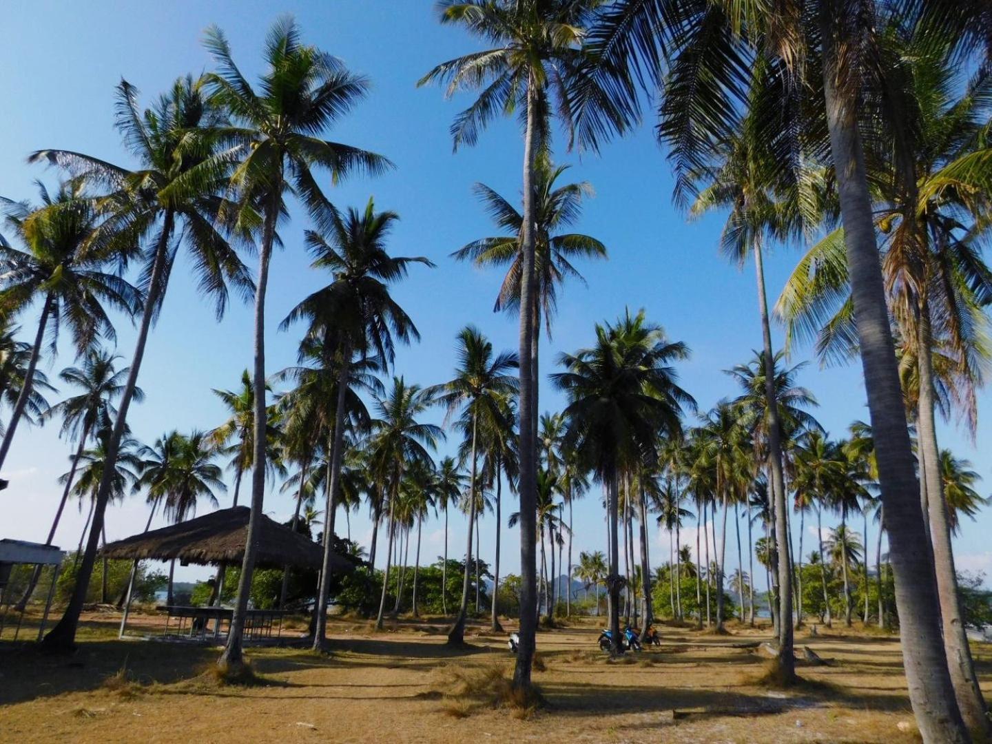 Swiss Bonihouse Koh Yao Yai Hotell Ban Pru Nai Eksteriør bilde