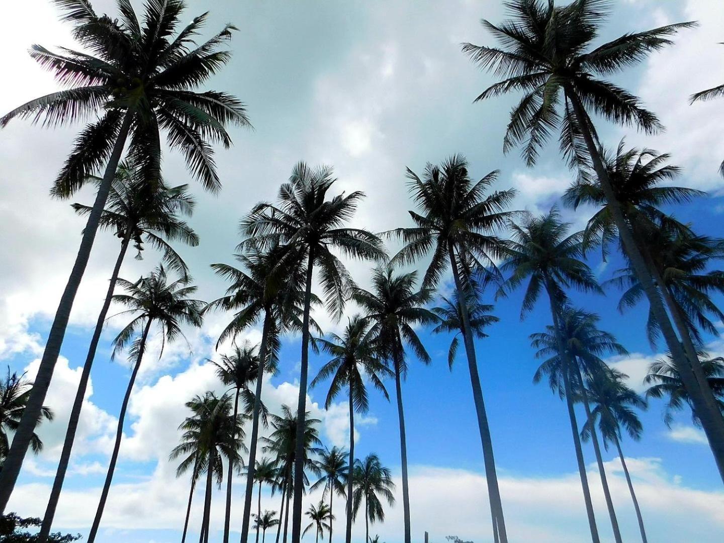 Swiss Bonihouse Koh Yao Yai Hotell Ban Pru Nai Eksteriør bilde