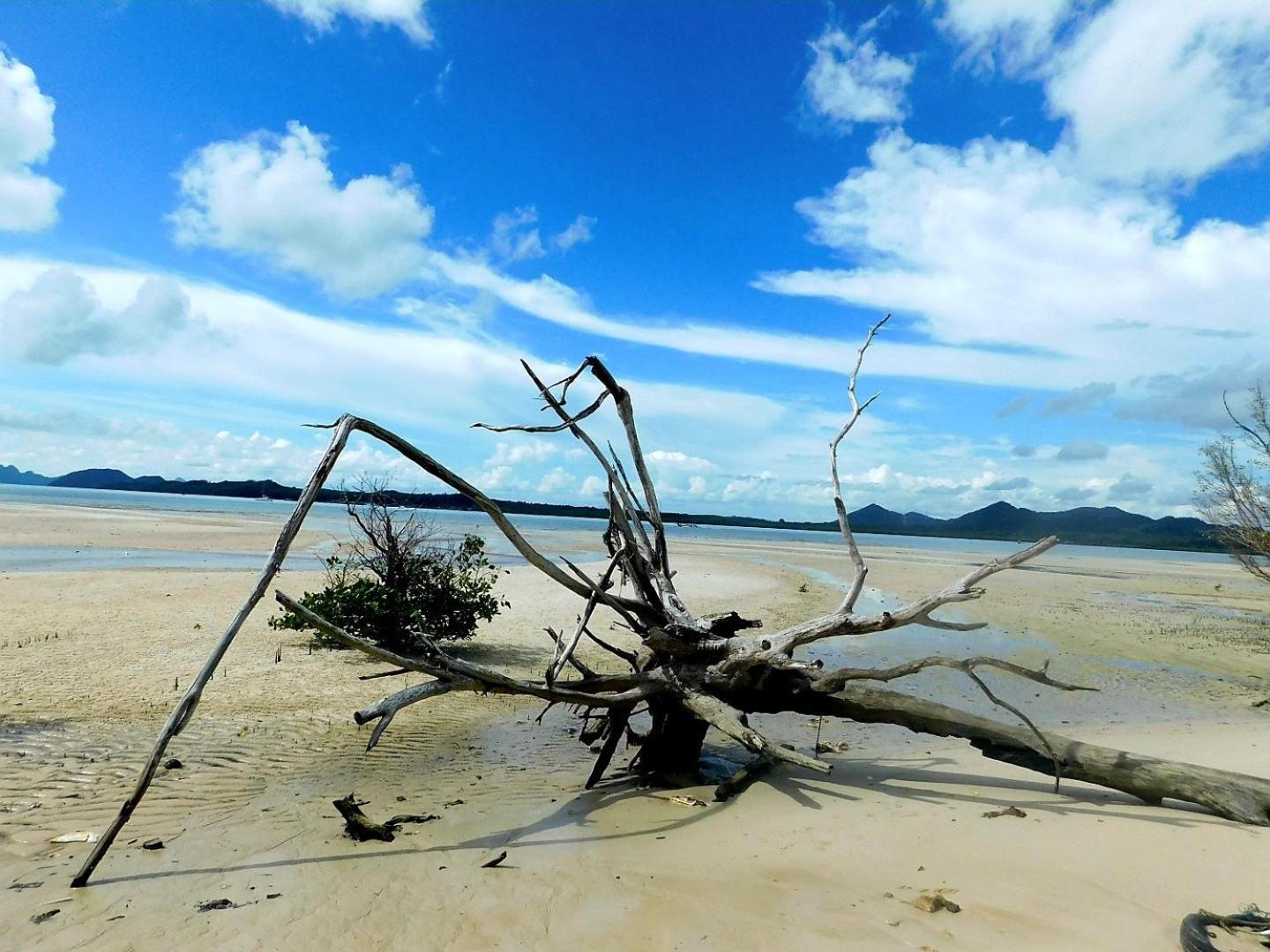 Swiss Bonihouse Koh Yao Yai Hotell Ban Pru Nai Eksteriør bilde