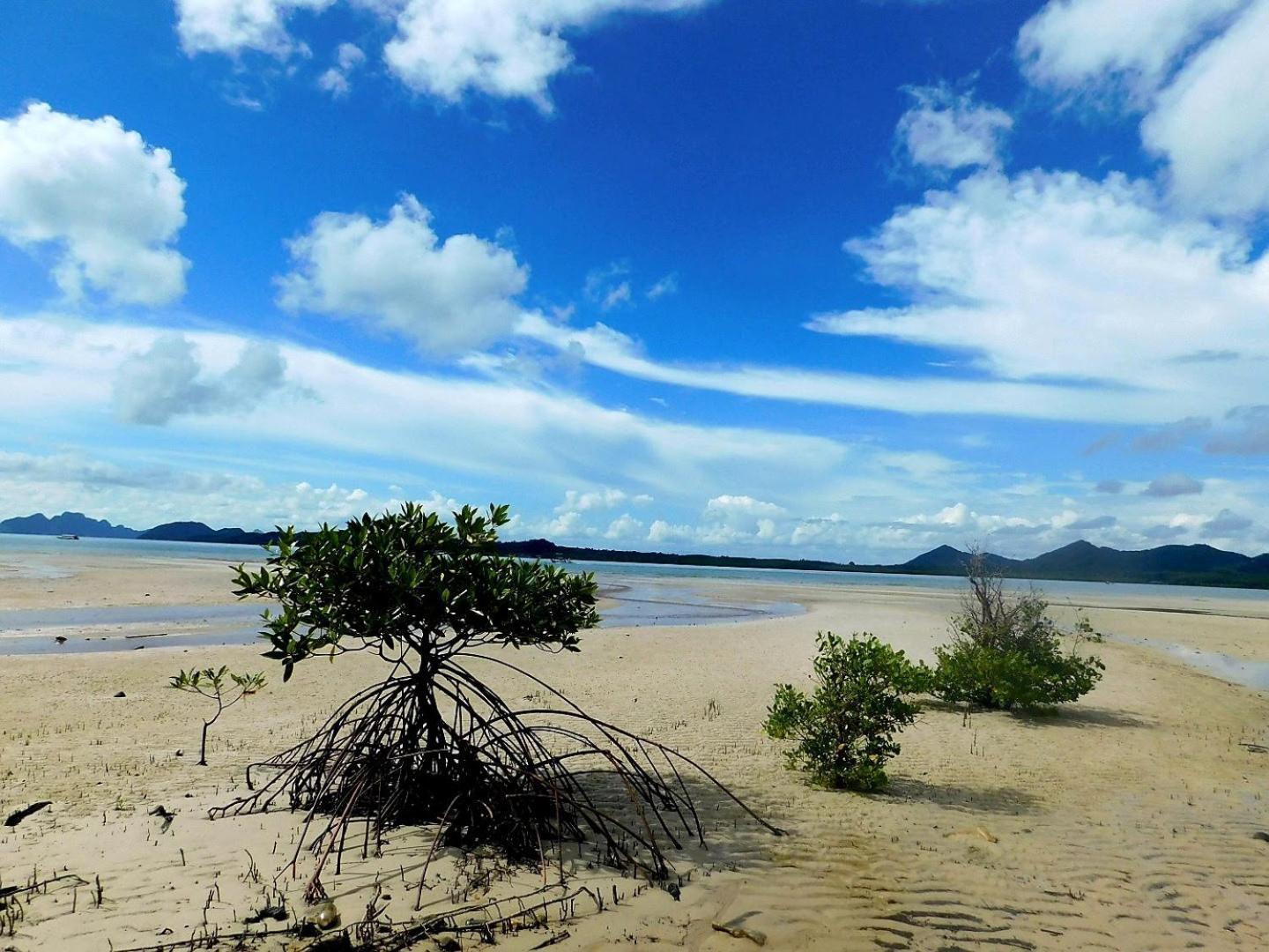Swiss Bonihouse Koh Yao Yai Hotell Ban Pru Nai Eksteriør bilde
